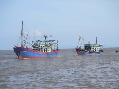 Vietnam Begins to Take Action on IUU Fishing to Avoid Potential EU Sanctions
